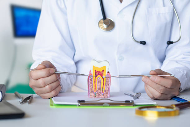 Best Knocked-Out Tooth (Avulsed Tooth) Treatment in Penrose, CO